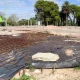 Obras Parque Independencia Bahía Blanca
